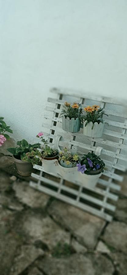 Apartment Silvija Vinišće Dış mekan fotoğraf