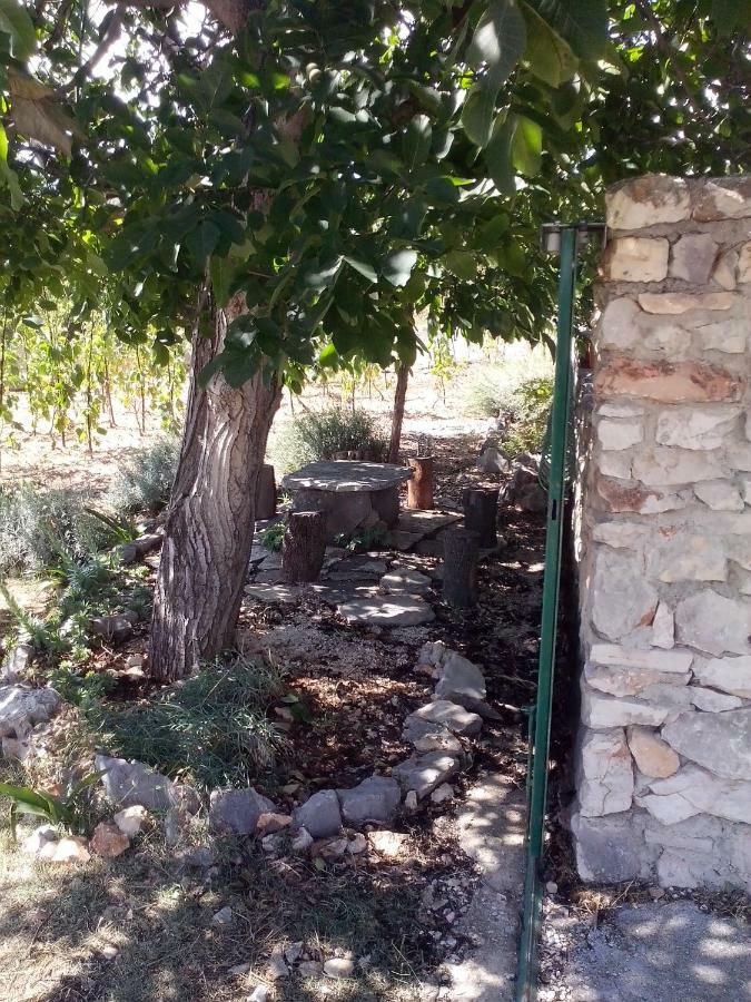 Apartment Silvija Vinišće Dış mekan fotoğraf